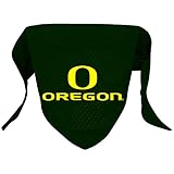 NCAA Oregon Ducks Pet Bandana, Team Color, Large