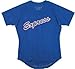 TeamExpress - Team Express Full Button Adult Mesh Jersey