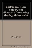 Fossil focus : Gastropods