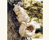 Squirrel Tail