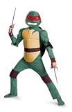Teenage Mutant Ninja Turtles Raphael Animated Classic Muscle Costume, Green/Tan/Brown/Red, Small/4-6