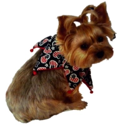 Patriotic Stars & Stripes Hearts & Bones Pet Scrunchie Collar - XS/S