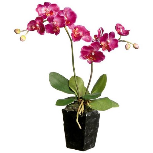 Deko-Woerner Orchidee im Topf 60cm pink