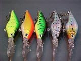 5 Custom Shad Bass Fishing Lures-Plug-Crankbaits- Set M5B Search the term rockcreeklures to see our entire line here on Amazon.