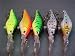 Sporting Goods : 5 Custom Shad Bass Fishing Lures-Plug-Crankbaits- Set M5B Search the term rockcreeklures to see our entire line here on Amazon.