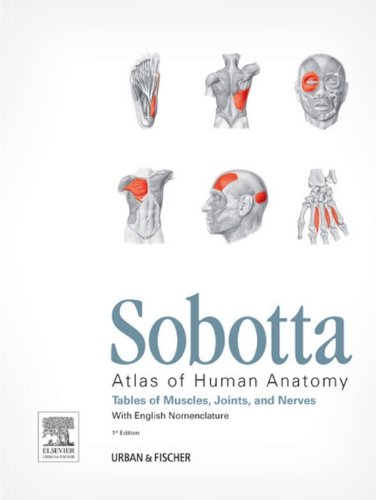 Sobotta Tables of Muscles, Joints and Nerves, English: Tables to 15th ed. of the Sobotta Atlas