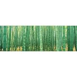 (12x36) Japan (Bamboo Forest) Art Poster Print