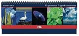 P.M. Tischquerkalender 2012: 52 spannende Fragen und Antworten