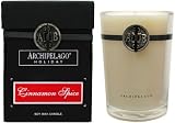 Archipelago Botanicals Holiday Candles Cinnamon Spice