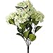 Cream and Green Poly Silk Hydrangea Floral Bush | for Indoor Decor