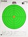 Champion Traps and Targets Traps and Targets, Large Green Bullseye 100 Yards (Per 12), Orange/Green (45795)