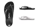 Betula by BIRKENSTOCK�ʥ٥�������ӥ륱�󥷥�ȥå��� Energy�ʥ��ʥ�����
