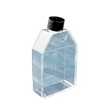 Corning 430372 Polystyrene 10mL Rectangular Canted Neck Cell Culture Flask with Black Phenolic-Style HDPE Cap (Case of 500)
