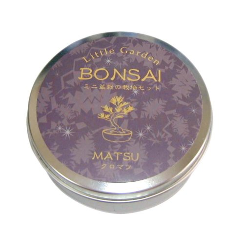 ミニ盆栽の栽培セット！リトルガーデン（Little Garden）　ＢＯＮＳＡＩ　黒松