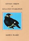 Mynah birds & related starlings