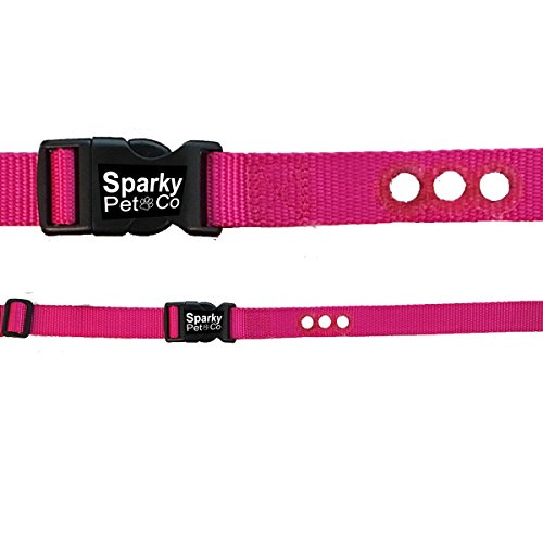 Sparky Pet CoDog Fence E Collar Receiver Heavy Duty Nylon 1" 3 Consecutive Hole Strap for All e Collar Systems Raspberry