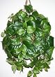 Silk Philodendron Hanging Basket