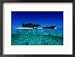 Dive Boats off Island, South Water Caye, Stann Creek, Belize Framed Photographic Poster Print by Mark Webster, 21x17