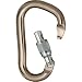 Black Diamond RockLock Screwgate Locking Carabiner: Mocha