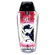 Shunga Toko Blazing Cherry Flavored Personal Lubricant Adult Sex Toy Kit