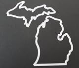 Michigan State Decal