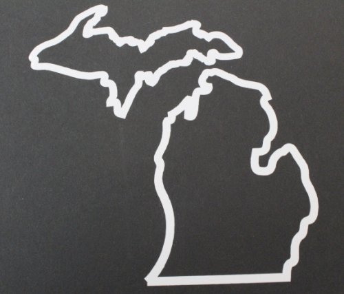 Michigan State Decal