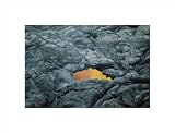 Geological Window poster print,14 in. x 10.7 in.