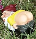 The Mooning Garden Gnome