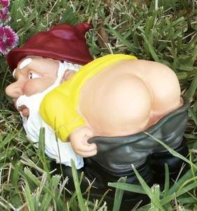 The Mooning Garden Gnome