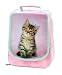 Rachael Hale Peanut lunch bag
