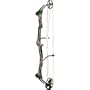 Bear Archery Game Over Bow