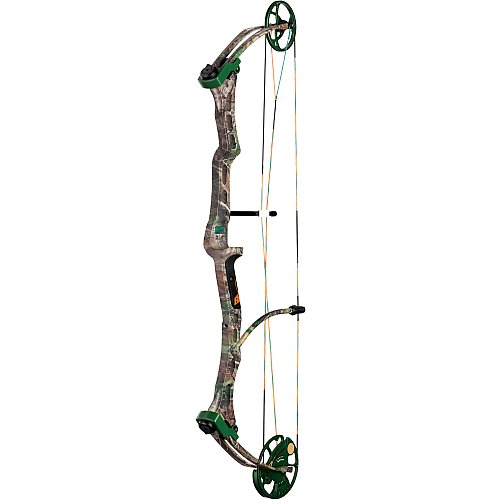 Bear Archery Game Over Bow