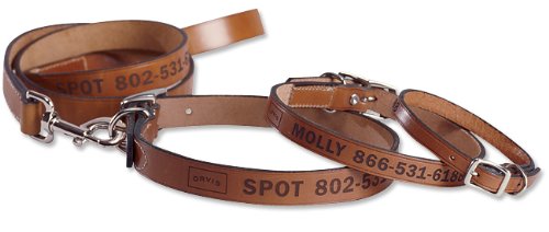 Personalized Leather Collar and Lead / 14