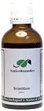 Native Remedies SciatiGon for Health and Comfort of the Sciatic Nerve