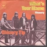 WHAT`S YOUR NAME 7 INCH (7" 45) GERMAN CBS 1972
