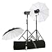 Bowens Esprit Gemini 200 Studio In A Box Kit Image