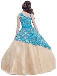Girls Crystals Crystal Lace Organza  One Shoulder  Ball Gown Pageant Dress/Party Dress 