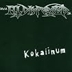 Kokaiinum