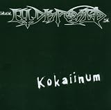 Kokaiinum