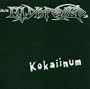Kokaiinum