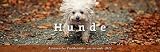 Literarischer Tischkalender Hunde 2012