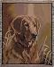 Golden Retriever Dog Deluxe Full-Size Tapestry Blanket Throw