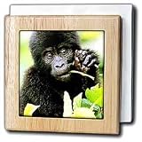 Infant Gorrilla - 6 Inch Tile Napkin Holder