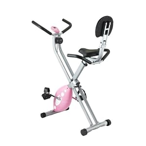 Sunny Folding Recumbent Bike