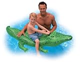 Outdoor Living : Giant Gator Ride On