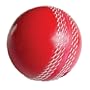 Soft PVC Practice Cricket Ball Red