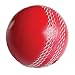 Soft PVC Practice Cricket Ball Red