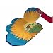 Big Yellow Sunflower (Fold Out and Find Out)