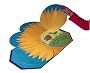 Big Yellow Sunflower (Fold Out and Find Out)