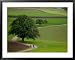 Bicycling in Basel Land, Jura Mountains, Switzerland Framed Art Poster Print by David...
